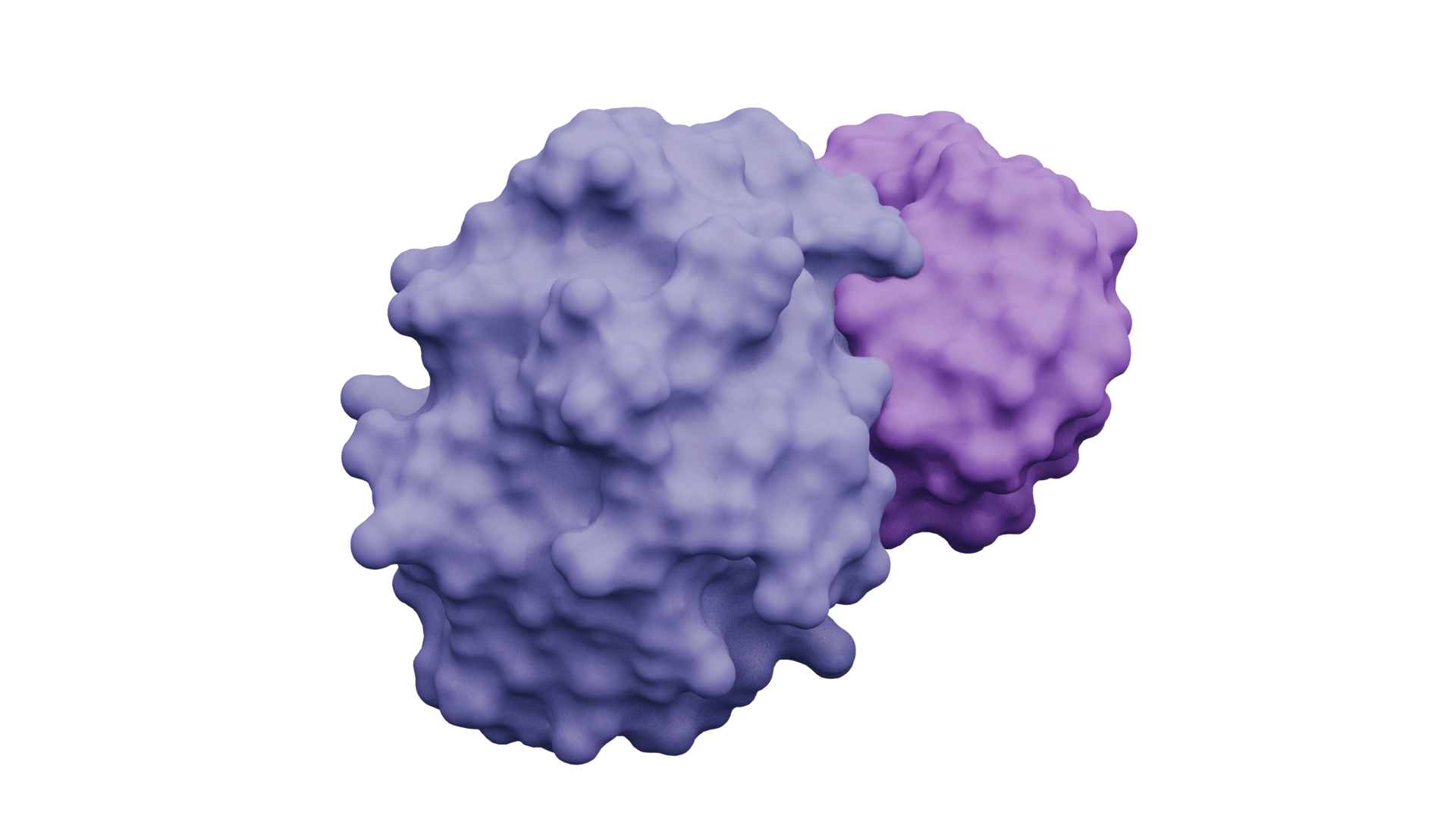 Alex Windels — Protein Designer
