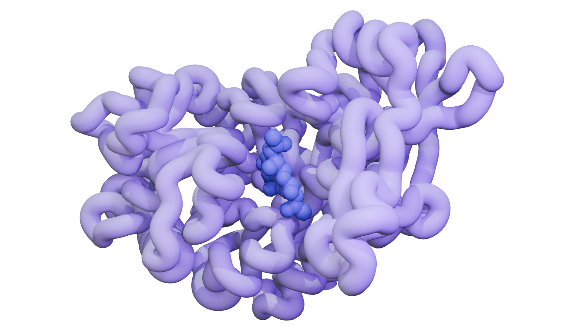 Protein structure visualization